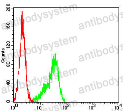Anti-HDAC1 Antibody (R3S71)