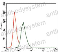 Flow Cytometry for Anti-RUNX3 Antibody (R3S93) ?>