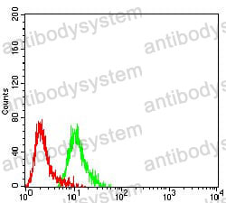 Flow Cytometry for Anti-GRM2 Antibody (R3T22) ?>