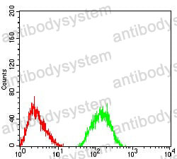Flow Cytometry for Anti-GRM7 Antibody (R3T38) ?>