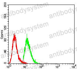 Flow Cytometry for Anti-WTAP Antibody (R3T43) ?>