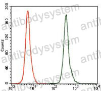 Flow Cytometry for Anti-NR6A1 Antibody (R3T74) ?>