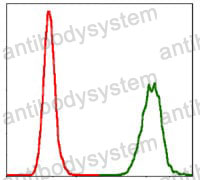 Anti-NEDD8 Antibody (R3U14)