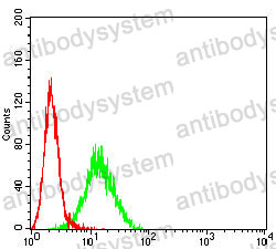 Anti-C3AR1 Antibody (R3U40)