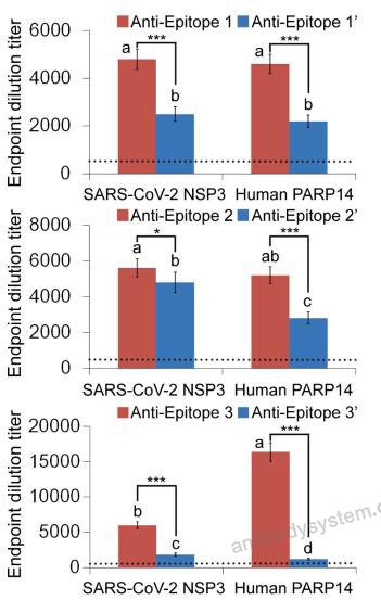Anti-Human PARP14 IP Antibody (SAA0213)