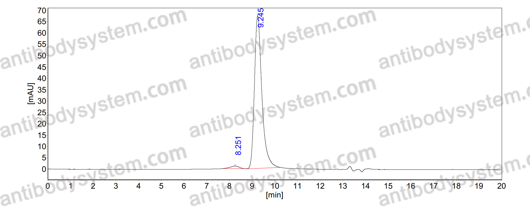 Anti-Human TRPV1 Antibody (SAA1705)