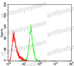 Anti-CD180 Antibody (R3V92)