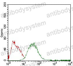Anti-PLIN2 Antibody (R3V97)