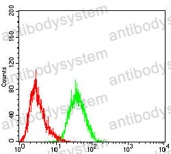 Flow Cytometry for Anti-CDX2 Antibody (R3W02) ?>