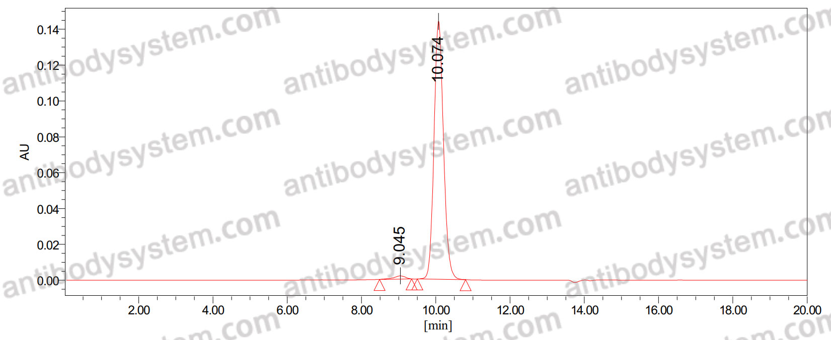 Anti-PINK1 Antibody (N4/15)