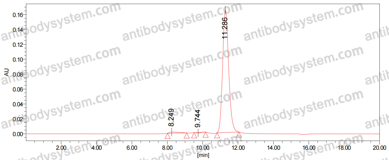 Anti-Mouse ANGPTL4 Antibody (15F2)