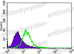 Flow Cytometry for Anti-MAP1LC3A Antibody (R3W49) ?>