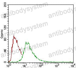 Anti-CD93/C1qR Antibody (R3W81)
