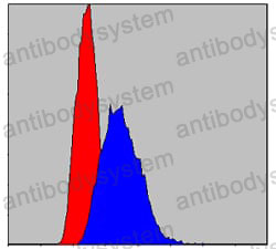 Flow Cytometry for Anti-IRAK4 Antibody (R3W99) ?>