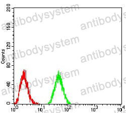 Flow Cytometry for Anti-DNMT3B Antibody (R3X24) ?>