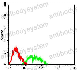 Anti-CD307c/FCRL3 Antibody (R3Y03)