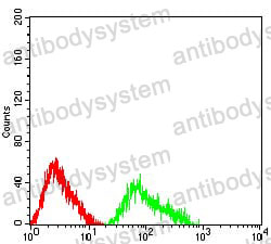 Anti-CD307c/FCRL3 Antibody (R3Y04)