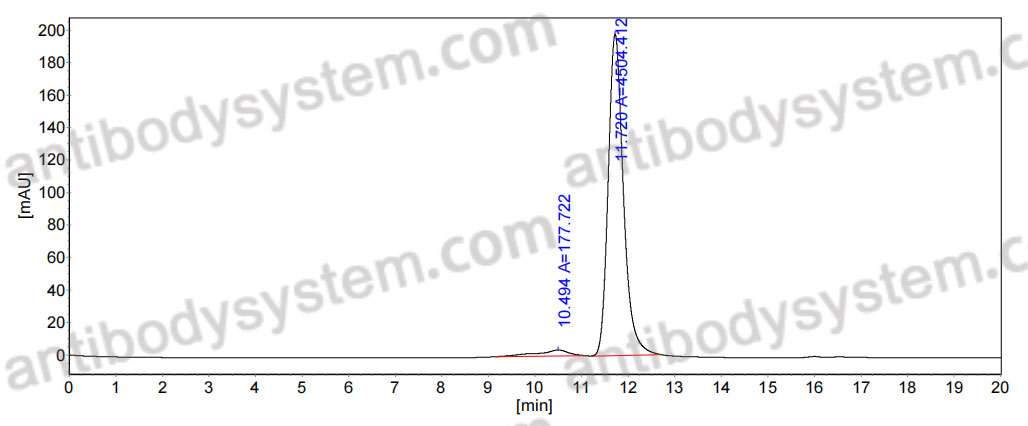 Anti-Sialyl-Tn/STn Antibody (TKH2)