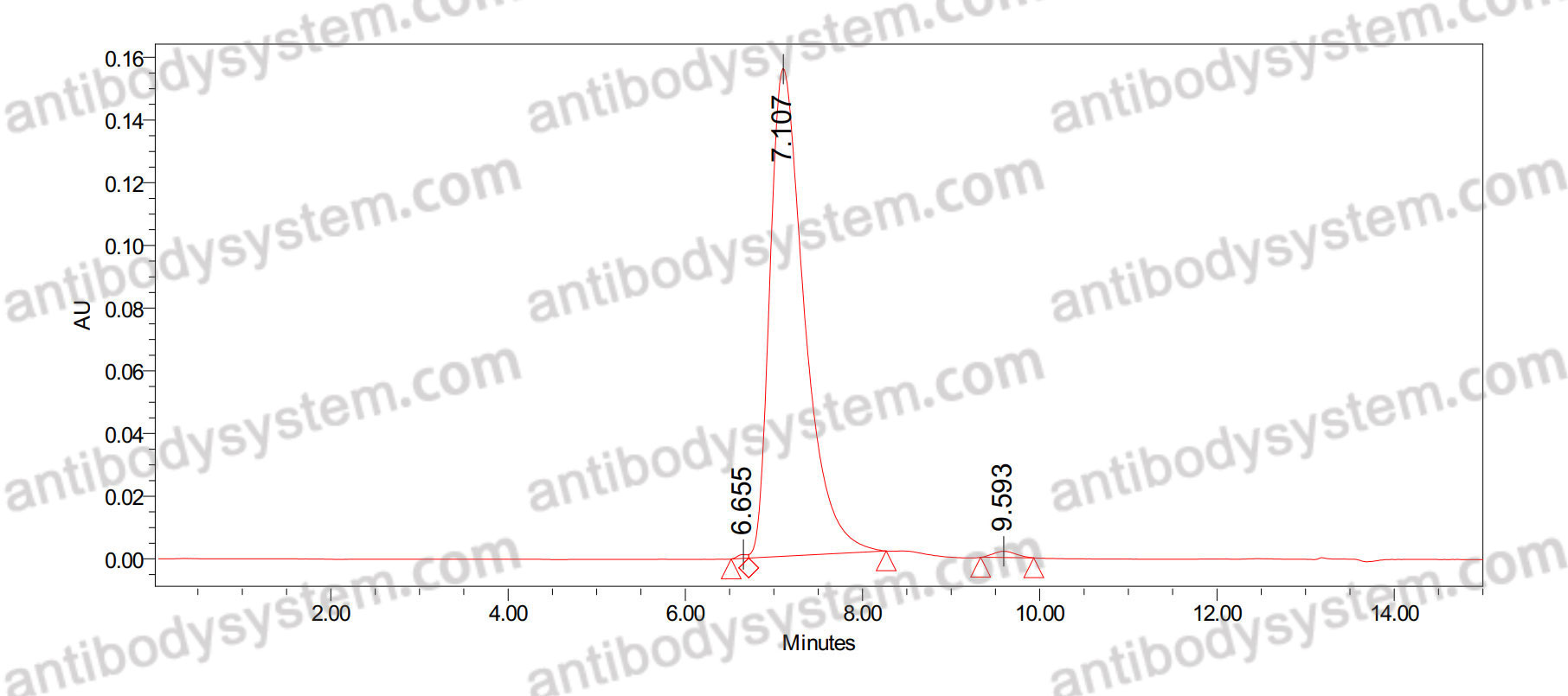 Anti-Human ZNF408 IP Antibody (SAA0241)