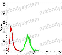 Flow Cytometry for Anti-DDX20 Antibody (R3Z28) ?>