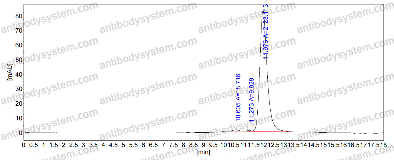 SEC-HPLC for Anti-Human ANTXR1/TEM8 Antibody (SAA1962) ?>