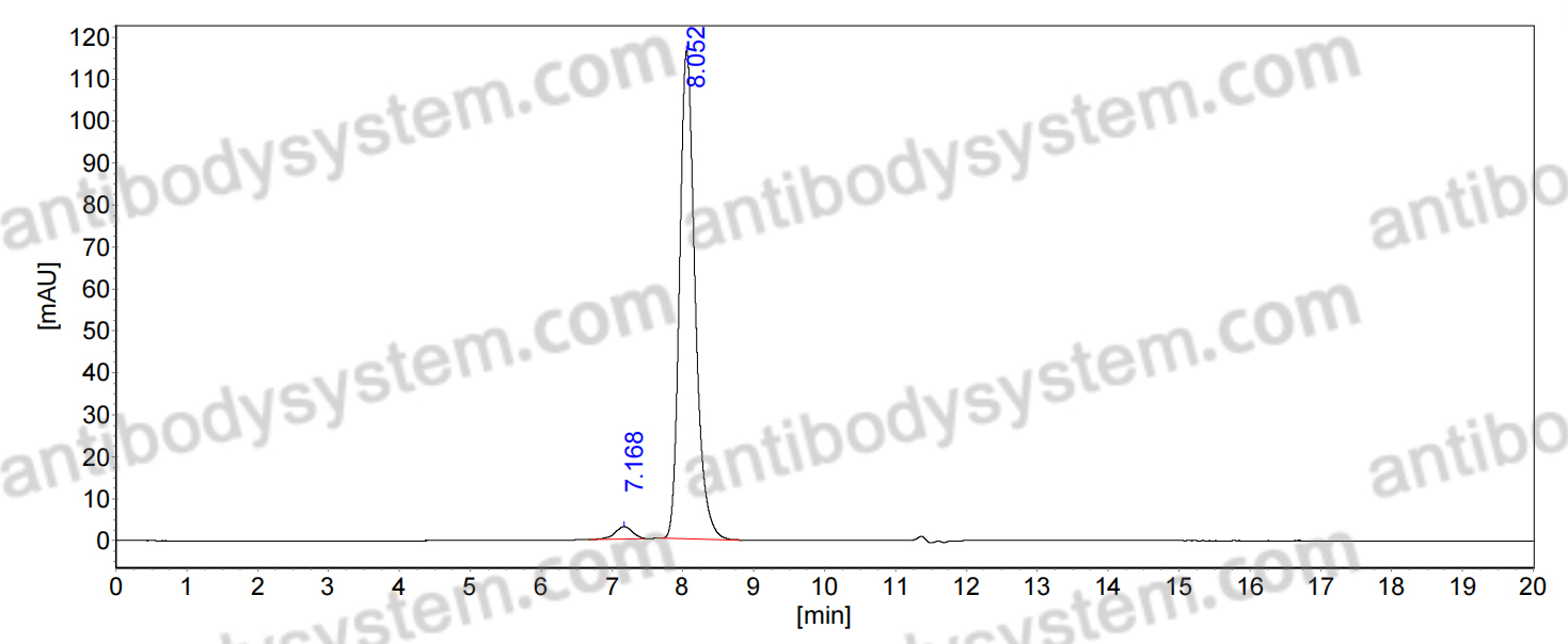 Anti-HLA-A*0201-CMV pp65 (NLVPMVATV) Complex Antibody (Fs0513)