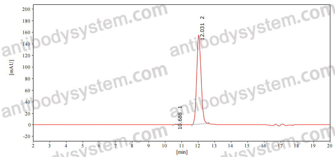 Anti-Mitofusin-1 Antibody (N111/27)