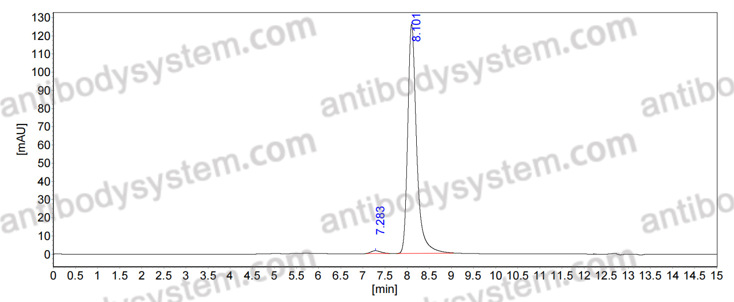 Anti-Nav1.6 Na+ channel Antibody (K87A/10)