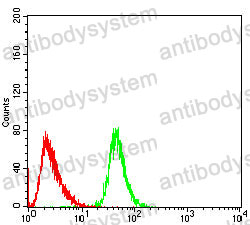 Anti-MTDH Antibody (R4A58)