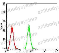 Anti-P2RY13 Antibody (R4A62)