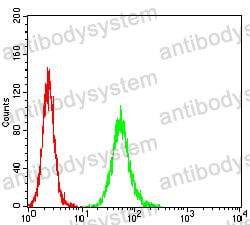 Anti-ANAPC10 Antibody (R4B56)