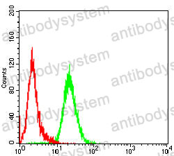 Anti-MAP4K1 Antibody (R4C16)