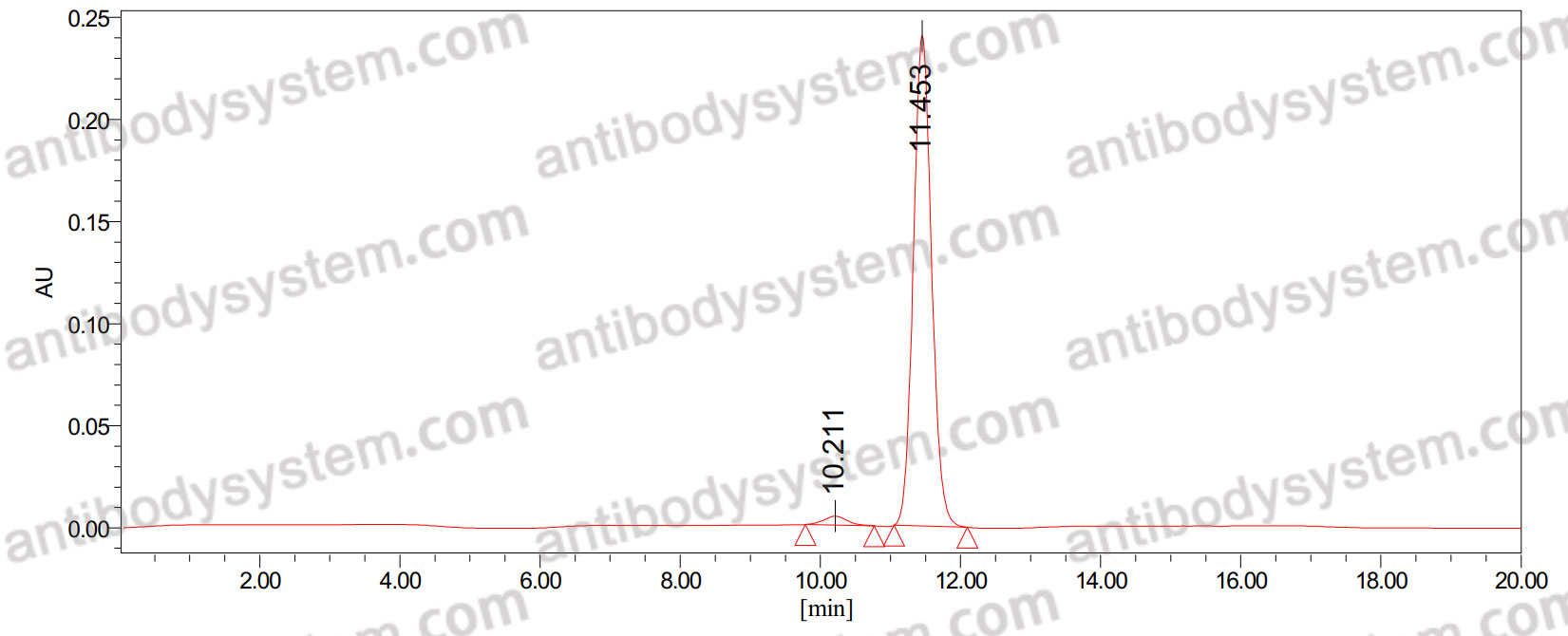 Anti-Mouse EDA1 Antibody (Fs0355)