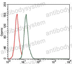 Anti-BPIFA2 Antibody (R4B01)