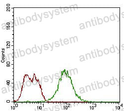 Anti-BPIFA2 Antibody (R4B04)