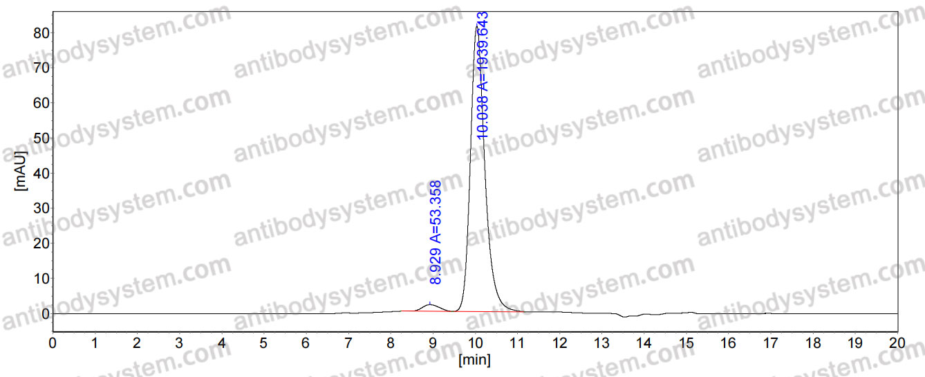Anti-Dog NGF/Beta-NGF Antibody (SAA0479)