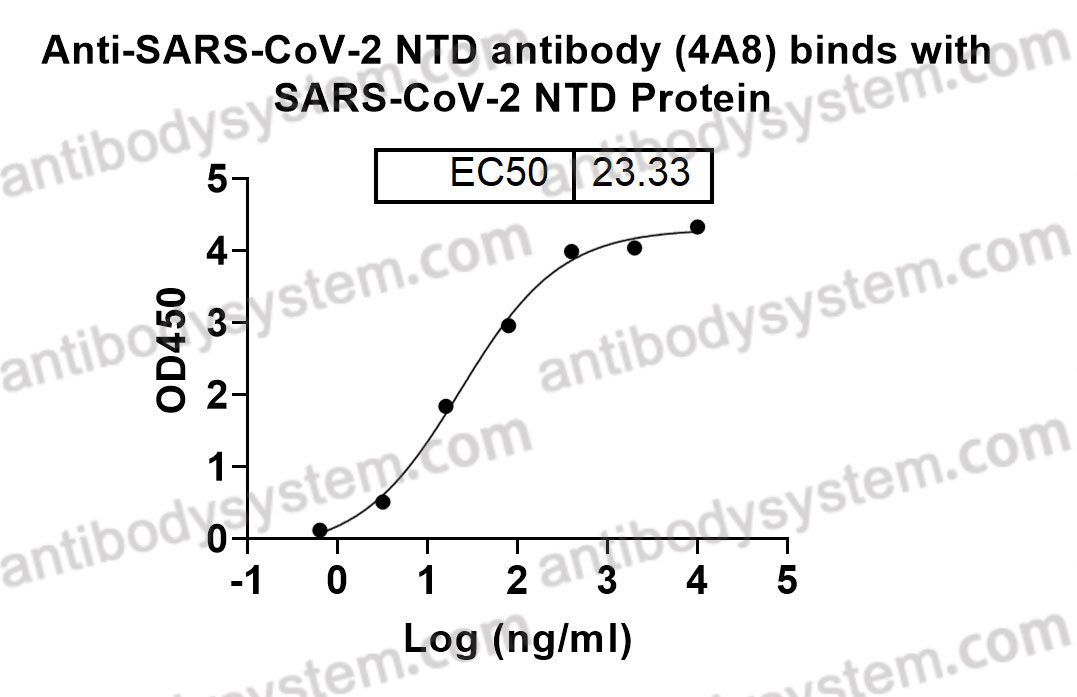 Bioactivity for Anti-SARS-CoV-2 NTD antibody (4A8) ?>