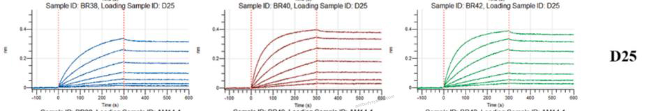 Bioactivity for Anti-HRSV-A F/Fusion glycoprotein F0 Antibody (D25) ?>