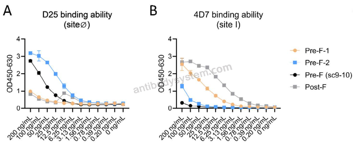 ELISA for Anti-HRSV-A F/Fusion glycoprotein F0 Antibody (D25) ?>