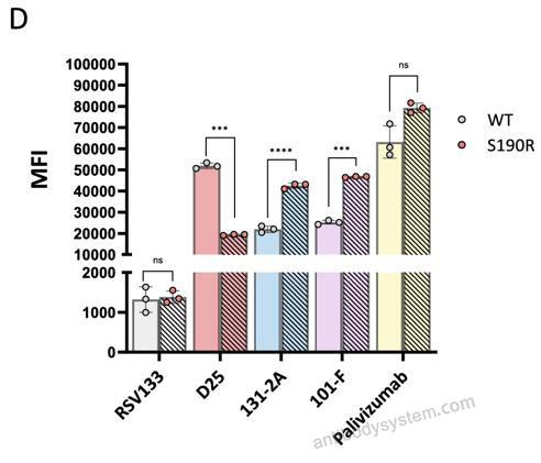Flow Cytometry for Anti-HRSV-A F/Fusion glycoprotein F0 Antibody (D25) ?>
