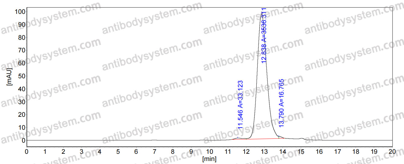 Anti-SEBOV GP/Envelope glycoprotein Antibody (16F6)