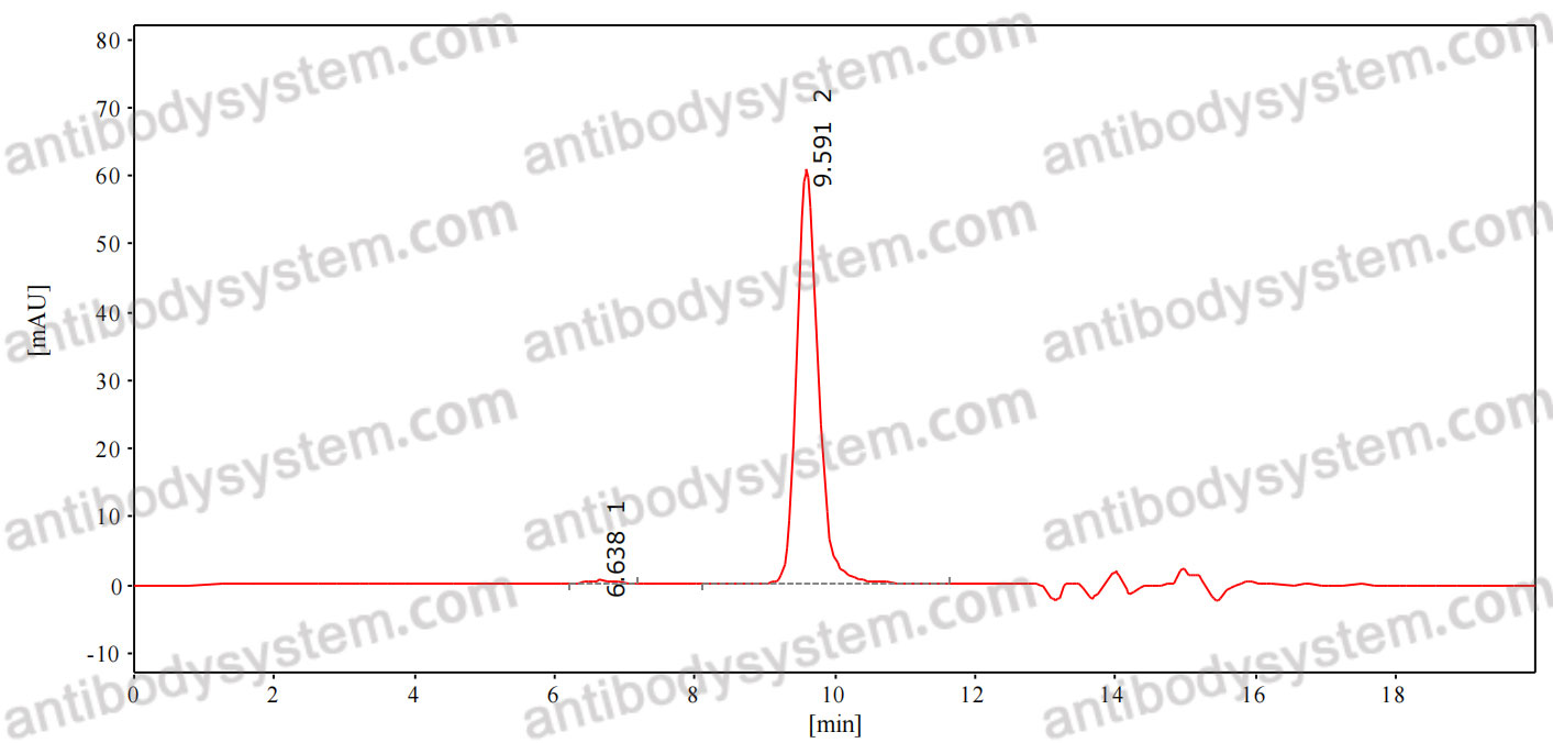 Anti-DENV-2 E-DIII antibody (1A1D)