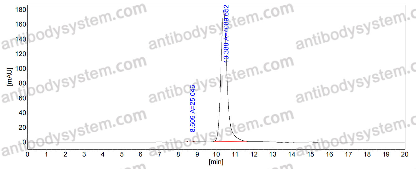 Anti-LASV GPC Antibody (19.7E)