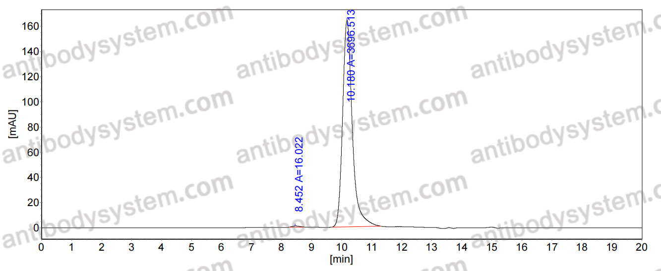 Anti-LASV GPC Antibody (36.1F)