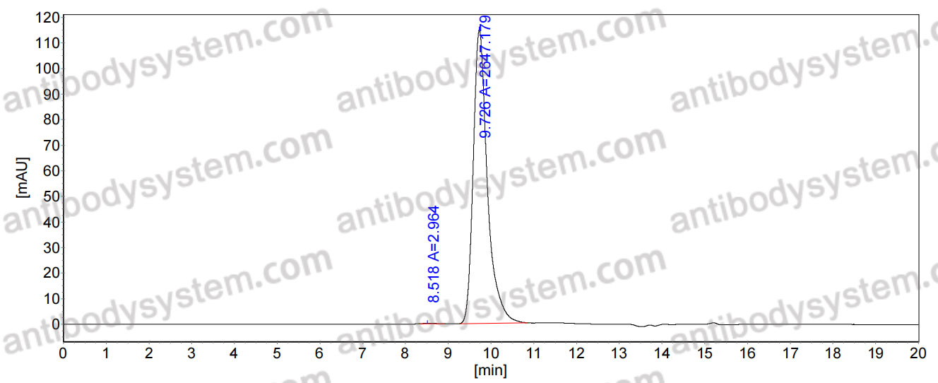 Anti-MERS-CoV S1 N-terminal domain/S1-NTD Antibody (7D10)