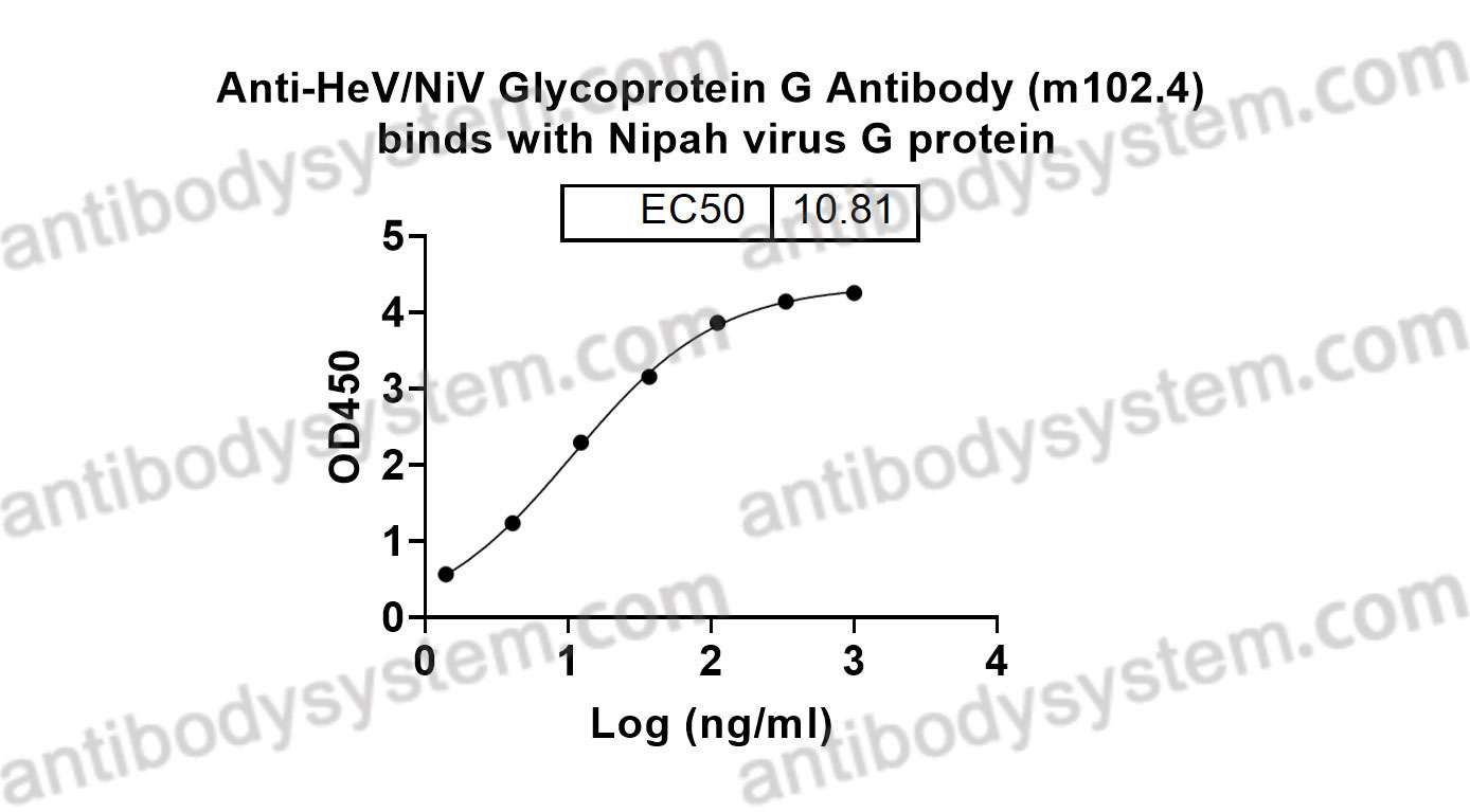 Bioactivity for Anti-HeV/NiV Glycoprotein G Antibody (m102.4) ?>
