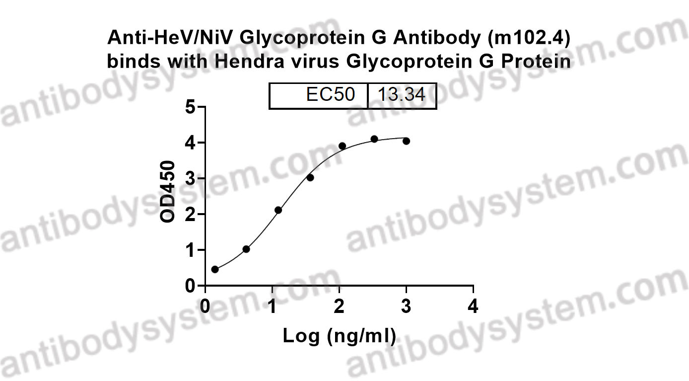 Bioactivity for Anti-HeV/NiV Glycoprotein G Antibody (m102.4) ?>