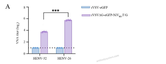 Bioactivity for Anti-HeV/NiV Glycoprotein G Antibody (HENV-26) ?>