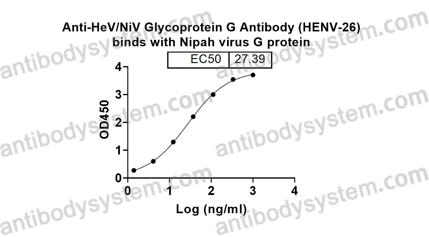 Bioactivity for Anti-HeV/NiV Glycoprotein G Antibody (HENV-26) ?>