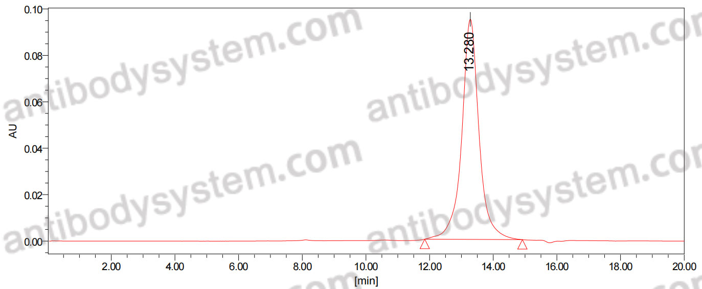 Anti-HeV/NiV Glycoprotein G Antibody (HENV-2)